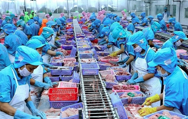 Vietnam’s aquatic exports to Japan rebound strongly